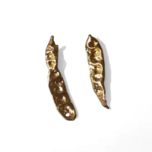 Aretes Acacia Inmortalizada