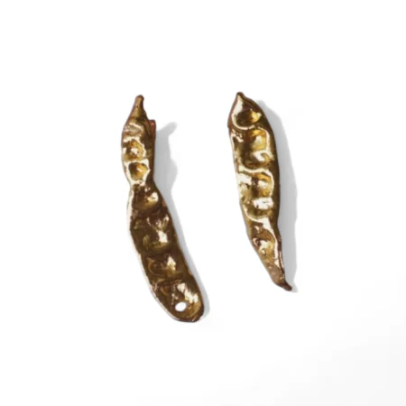 Aretes Acacia Inmortalizada