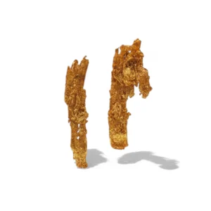 Aretes Corteza Largos