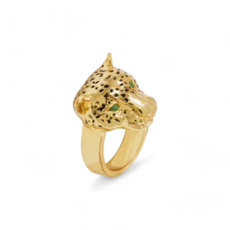 ANILLO GUARDIÁN