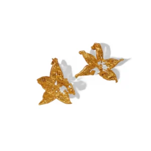 Aretes Topo Estrella Carambolo