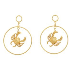 MR. CRAB MAXI HOOPS